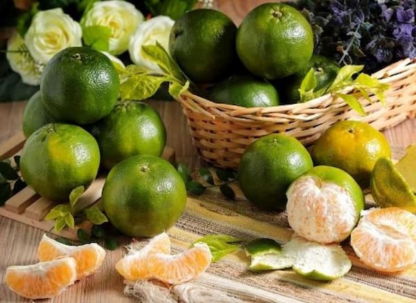 خرید و قیمت انواع نارنگی سبز اعلا